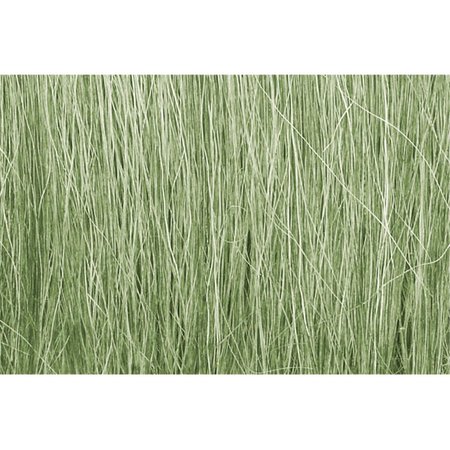 THINKANDPLAY Field Grass Light Green TH1791775